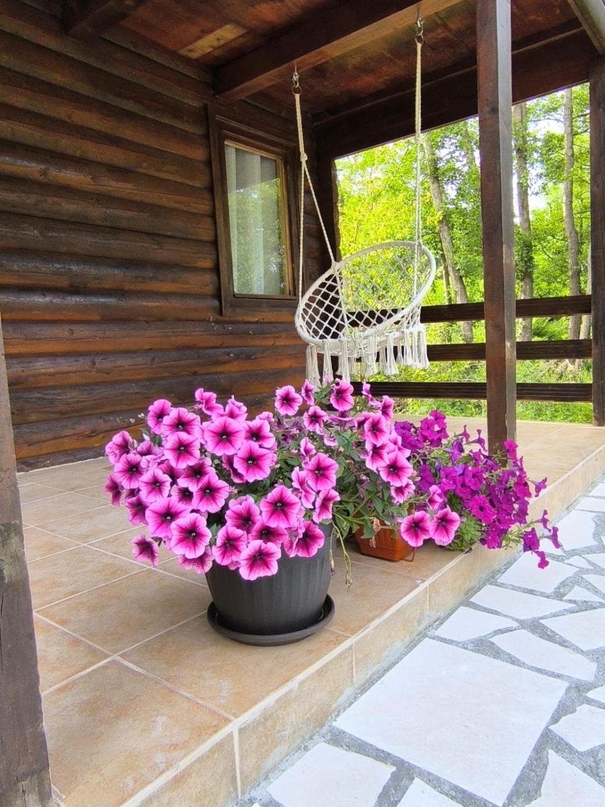 Virpazar Raj Kod Kumova Villa Oda fotoğraf